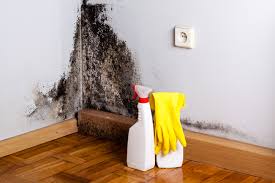 Best Emergency Mold Remediation  in English, IN